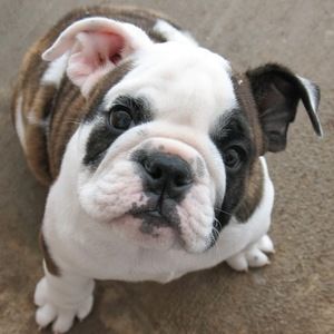 Meet your Posher, Brenna